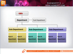 Company Function Organization Chart PPT Chart material