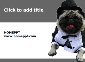 Cute Puppy Art PPT Template Download