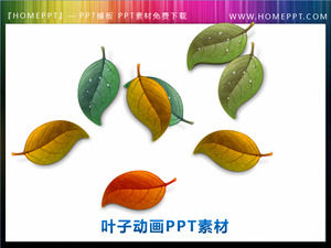 Dynamic Leaves Falling PowerPoint Animations Download
