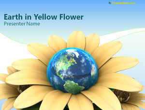 Earth flower presentation