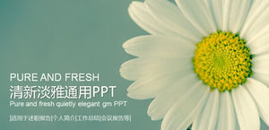Elegante Hintergrund-PPT-Schablone der frischen Blume, Betrieb PPT-Schablonendownload