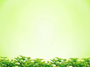 Zarif yeşil arka plan yeşil yapraklar Slayt arka plan görüntüsü indir ile yaprakları