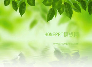 Elegant Korean leaf PPT template download