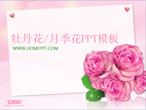 優雅的牡丹玫瑰玫瑰背景的PowerPoint模板下載;