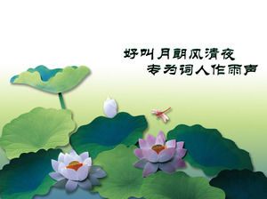 Exquisite and elegant lotus background plant type PPT template