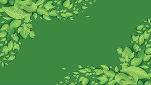 background image PPT Exquisite folha verde