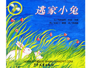 “逃離兔”圖畫書的故事