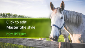Free Horse PowerPoint Template