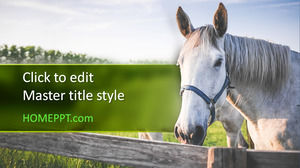 Template gratis Horse PowerPoint