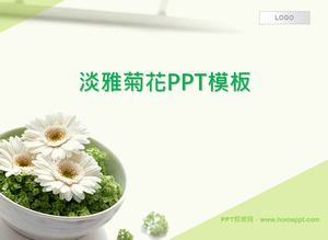 Fresh and elegant chrysanthemum background plant slides template download;