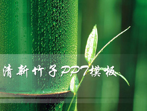 Taze bambu arka plan PowerPoint Slayt şablonu