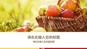 신선한 맛있는 과일 슬라이드 템플릿