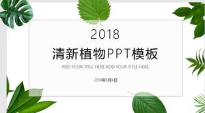 Свежий зеленый лист зеленого растения PPT шаблон