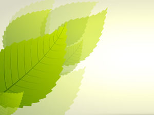 Fresh green leaf PPT background picture PowerPoint Templates Free Download