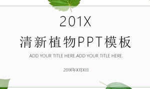 Frische grüne Pflanze Blatt Hintergrund PPT Vorlage kostenloser Download
