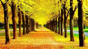 Golden Yellow Tree PPT background image