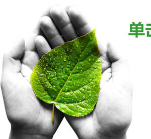 Modelo de PPT de proteção ambiental plana verde com fundo de folhas