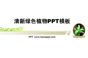 sfondo verde fresco della pianta PowerPoint modello scaricare