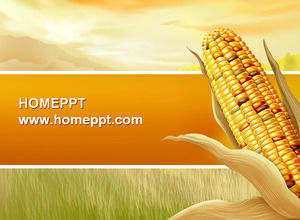 Harvest the joy of corn background PPT template