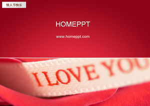 I LOVE YOU Valentine 's Day PPT Template Download