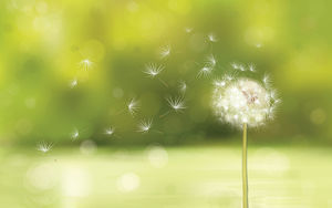 IOS style green spot background dandelion PPT background image