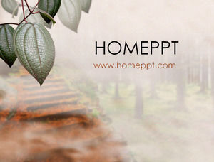Leaf background PPT template download Leaf background PPT template download