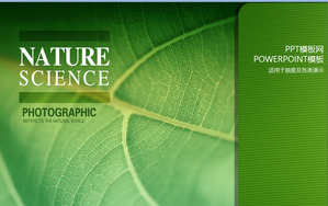 Hayat yeşil yeşil bitki PowerPoint şablonu