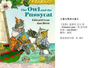иллюстрированная книга история «Сова и котенок»