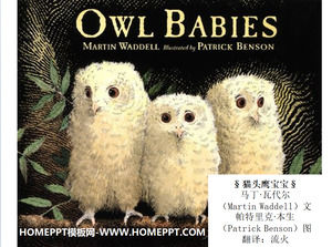 „Owl baby“ Bilderbuch Geschichte