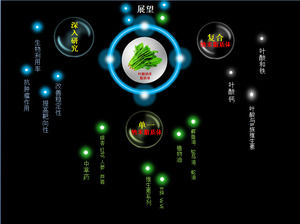 個性夢幻效果的內容顯示PPT動畫下載