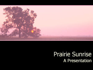 Prairie Sunrise Noir