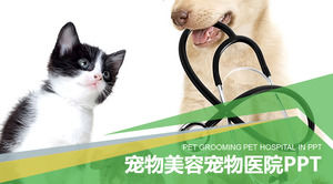 Cachorro gatito fondo mascota PPT plantilla