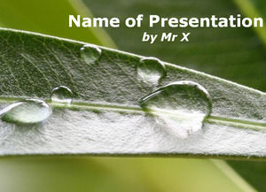 Regen Inspiration Powerpoint