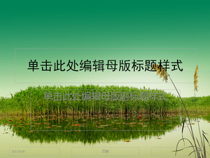 Reed modèle diaporama vert vert télécharger