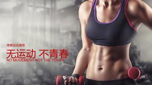 Sport Fitness Slimming PPT Template