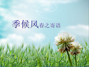 初春时节的自然风光PPT背景图片下载
