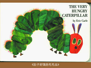 Stomach hungry caterpillar picture book story