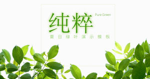 Template PPT tema musim panas dengan latar belakang daun hijau segar