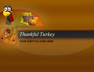 bersyukur Turki