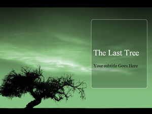마지막 나무