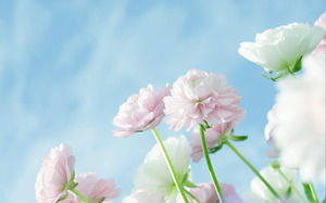 Tiga bunga gambar latar belakang PPT elegan