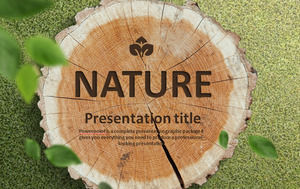 Tree Rings Pile Background PPT Templates Free Download