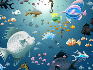 Unterwasserwelt Unterwasserwelt