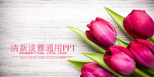 Valentine's Day PPT template with delicate rose background
