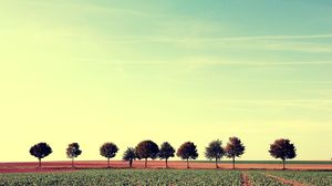 Weiter Himmel schöne Bäume natürliche PPT Hintergrundbild