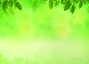 Les gouttes d'eau laisse des tons vert jaune images de fond PPT