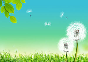 Yellow and blue background dandelion PPT background picture